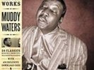 Muddy Waters - Blues Master Works - Vinyl LP