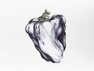 Ween: White Pepper (White Vinyl) LP
