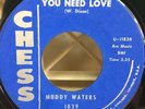 R&B Mod Blues Soul 45 MUDDY WATERS You Need Love CHESS VG++