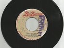 FREDDIE McGREGOR & SOUL SYNDICATE / MARK OF THE BEAST / 7''/ EX