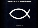 BIG HARD EXCELLENT FISH IMPERFECT LIST 12