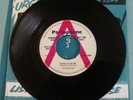 THE BEATLES - PLEASE PLEASE ME -  REPLICA 7