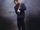 Robert Cray - Strong Persuader - 200g Analogue Productions LP APB 051