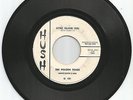 45 R&B/Doowop Hush-101 Golden Tones 