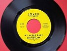 MY SUGAR BABY  Connie Clark