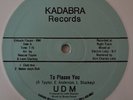 UDM ?– To Please You (LIMITED COLOR VINYL) **MINT**