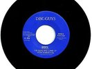 THE GUYS WHO UP FROM DOWNSTAIRS Rare Iowa Garage Fuzz 45-Single 