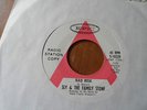 SLY & FAMILY STONE Underdog/Bad Risk EPIC RARE Early Monster Funk Rock 45 MINT-