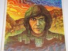 NEIL YOUNG LP REPRISE RECORDS (6317) Rock n Roll Vinyl Album Crazy Horse blues