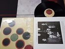 Lungfish ?– Artificial Horizon LP RARE