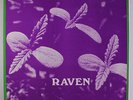 RAVEN: Raven ('back To Ohio Blues') LP (limited edition of 500 c. '94 OH origin