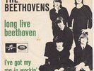 BEETHOVENS I've Got My Mojo Working RARE danish garage 45 PRE Burnin Red Ivanhoe