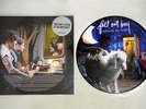 FALL OUT BOY INFINITY ON HIGH ISLAND DEF JAM US Pressing PICTURE DISC LP