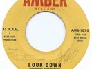 RARE GARAGE PUNK  THE WHAT-NOTS  