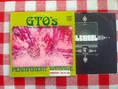 GTO's LP Permanent Damage WHITE LABEL PROMO rare Straight orig CLEAN Zappa