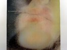 PJ Harvey - Dry * LP Vinyl Original