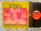 GTO's LP Permanent Damage STRAIGHT orig ZAPPA rare