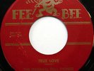 The ORIGINAL DELL VIKINGS 45 True Love FEE BEE label VG++ DOO WOP e6194