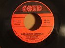 RIVIERAS, THE---MOONLIGHT SERENADE   (DooWop)