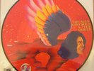 DAVID BOWIE Man Who Sold The World RSD2016 PIC DISC LP NEW/SEALED
