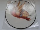 David Bowie - Rebel Never Gets Old 12