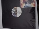 PRINCE, PLANET EARTH, VINYL, PROMO, SUPER RARE, 2 X LP,