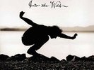 EDDIE VEDDER**INTO THE WILD(180G W/BOOK)**VINYL