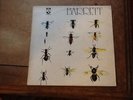 SYD BARRETT.   BARRETT. UNBOXED EMI  VINYL RECORD IN EX CONDITION