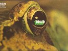 TOAD  