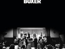 National, The - Boxer Vinyl Record