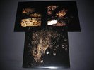 WOLVES in the THRONE ROOM - Two Hunters 2-LP sunn o))) earth agalloch sleep