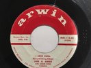 Jan & Arnie - I Love Linda * Arwin Rock Teen 45 EX