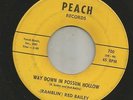 COUNTRY BOPPER--RAMBLIN' RED BAILEY-- DOWN IN POSSUM HOLLOW  -HEAR BOTH- PEACH