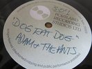 ADAM AND THE ANTS Dog Eat Dog 7