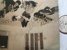 FLEETWOOD MAC / ALTERNATE TUSK / LP VINYL RSD 2016