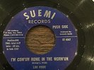 Lou Pride - I'm Coming Home In The Morning - Suemi. ( 70s Pressing )