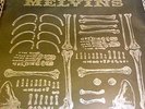 Melvins AM REP MACKIE limited vinyl signed by BUZZ nirvana TOOL