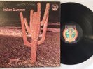 Rare Rock Promo 1971 Self Titled LP Indian Summer RCA Neon Gatefold