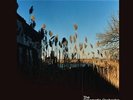 The Cinematic Orchestra-Ma Fleur  (US IMPORT)  VINYL NEW