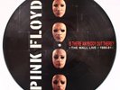 Pink Floyd The Wall Live 1980-81 Picture Disc VINYL LP RECORD Rare Promo