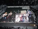 Creedence Clearwater Revival: Live at Royal Albert Hall 1970 / Orig. LP / 1980
