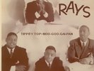 RARE THE RAYS CHESS 1613 RECORD SLEEVE ONLY NEVER BEFORE SEEN ON E-BAY