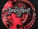 BORKNAGAR - Quintessence PIC-LP - first press