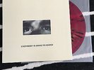 Citizen everybody is LP VERY RARE /500 tigers jaw basement turnover title fight