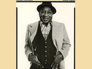 Muddy Waters - Hard Again