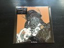 THE JOY FORMIDABLE VINYL THE BIG ROAR LP
