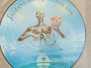 IRON MAIDEN SEVENTH SON OF A 7TH SON LIMITED EDITION 12