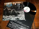 R.E.M. - Murmur 1983 LP EX/NM In Shrink w/ Hype Sticker & Inner Sleeve 1st Press