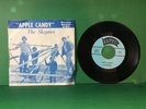The Skeptics - Apple Candy 45 | Kampus 814 | PICTURE SLEEVE | NM Garage Punk