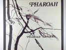 Pharoah Sanders 